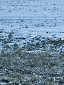 IMG_20251003_065727